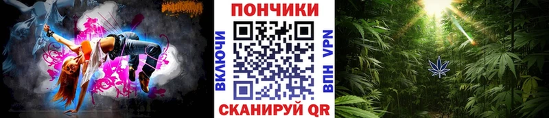 Где найти наркотики Суворов Галлюциногенные грибы Амфетамин Меф Кокаин