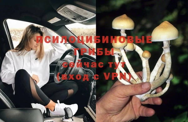 spice Балабаново