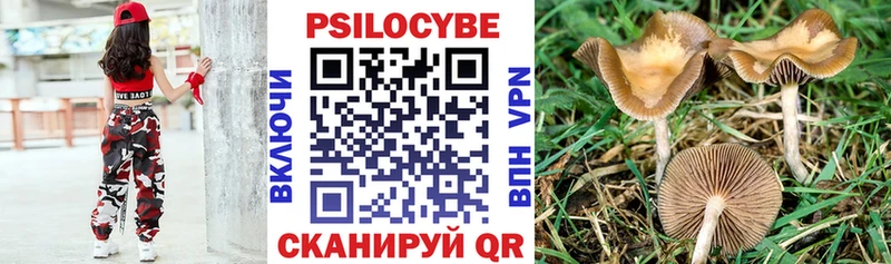 Псилоцибиновые грибы Psilocybe Суворов